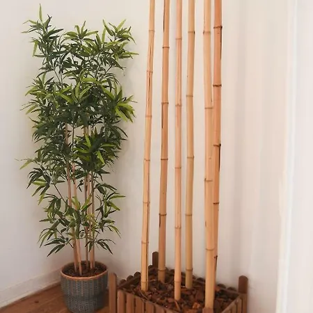 For Friends Apartment *